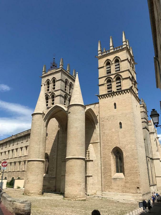 Superbe! Loft T3 -Ctre Historic- Prox. Place Comédie Montpellier Esterno foto